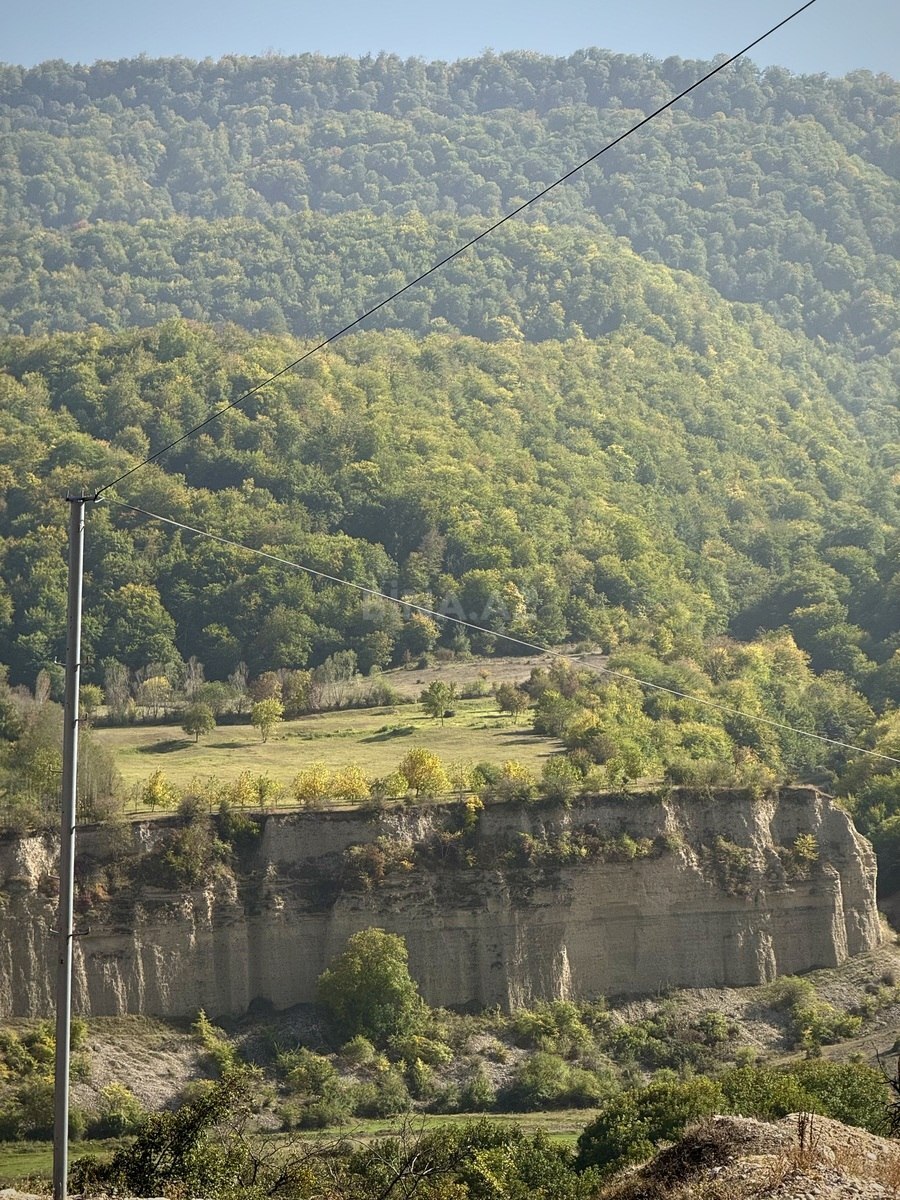 60.0 m²