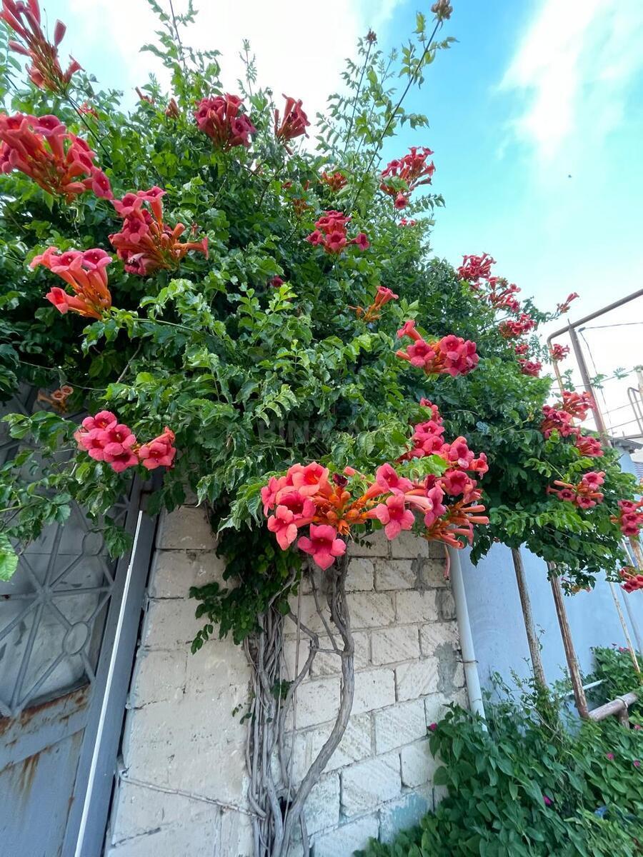 6 otaqlı həyət evi satılır, Novxanı, Abşeron