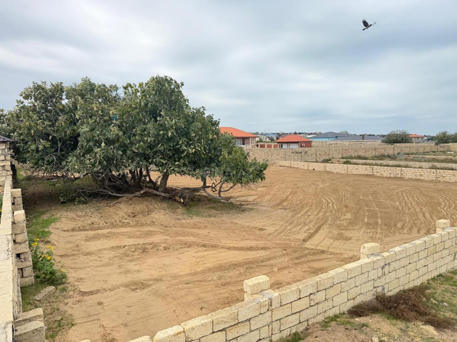 12.0 m², Nardaran