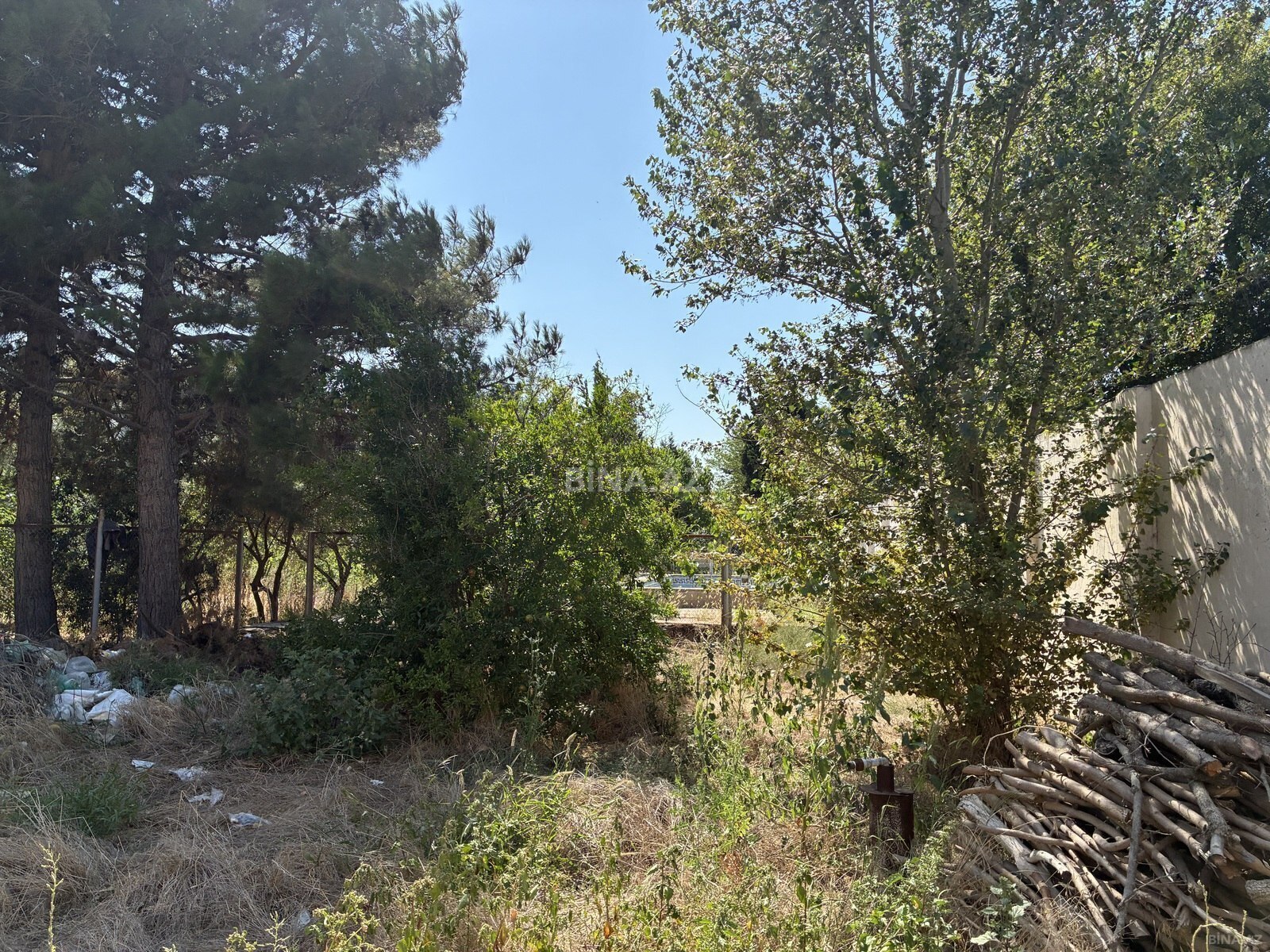 Torpaq satılır, Fatmayı, Abşeron