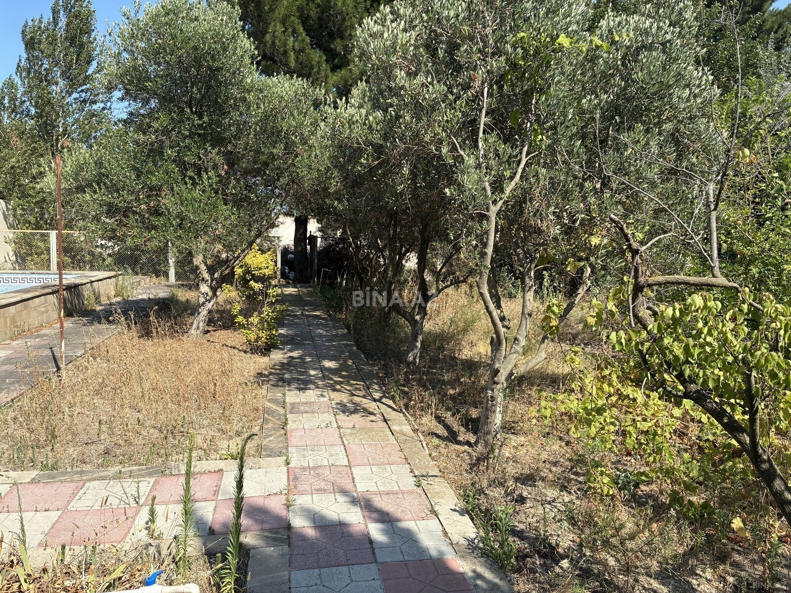 Torpaq satılır, Fatmayı, Abşeron