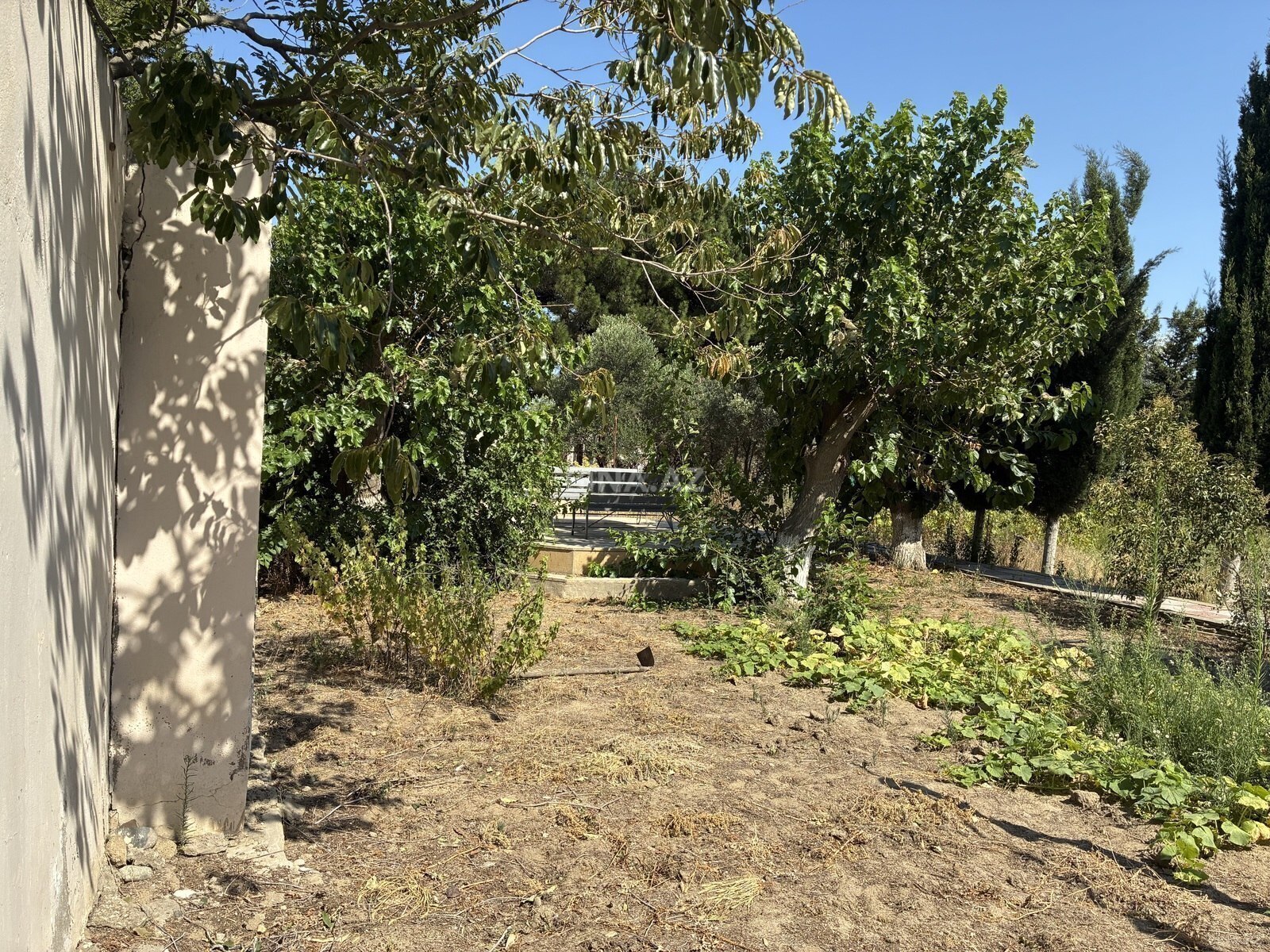 Torpaq satılır, Fatmayı, Abşeron