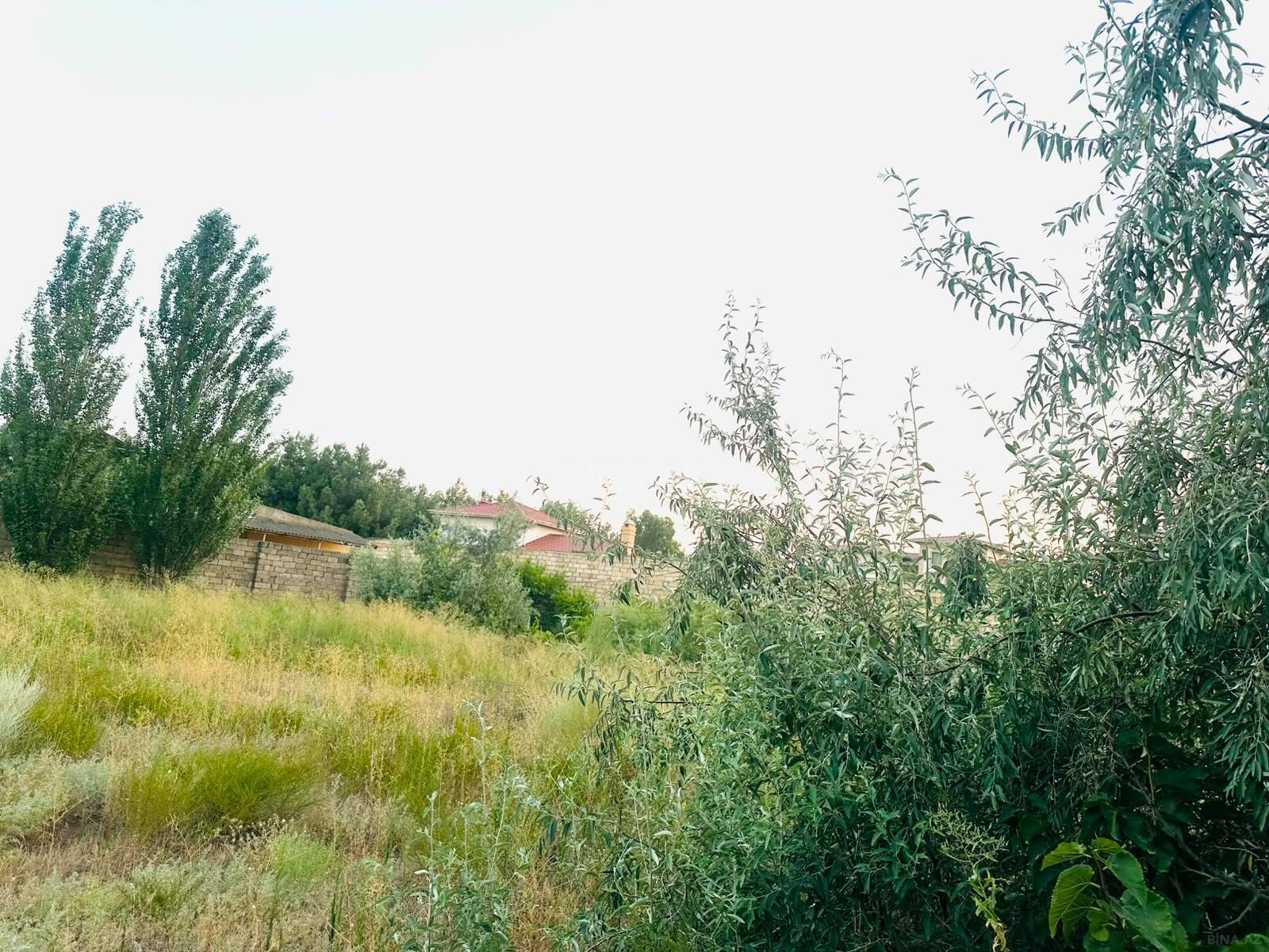 10.0 m², Pirşağı