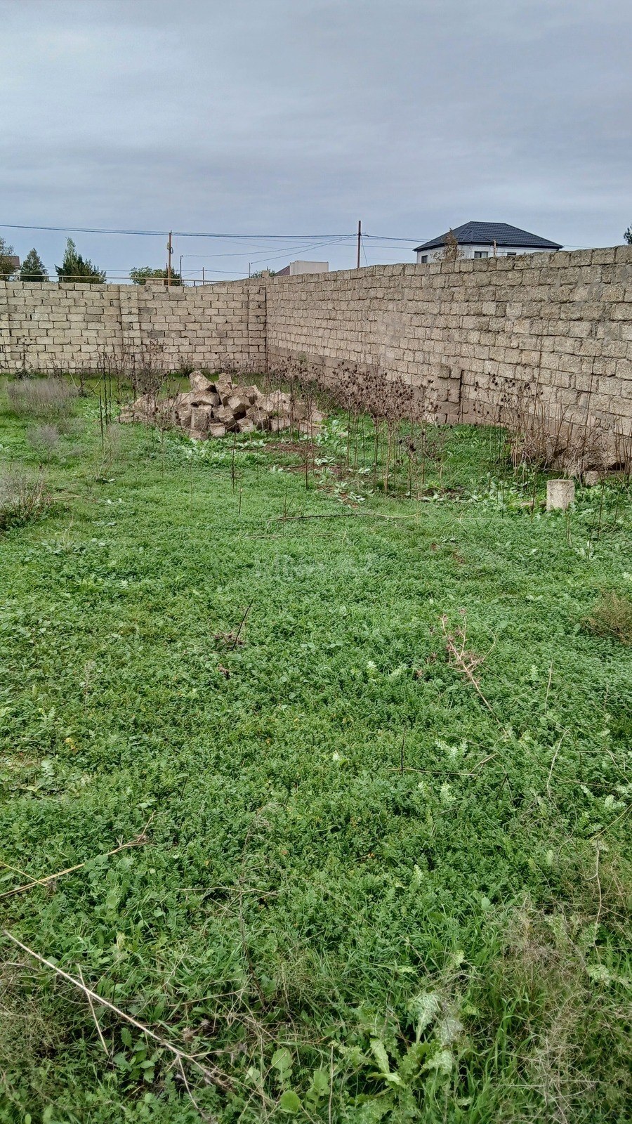 Torpaq satılır, Türkan, Bakı