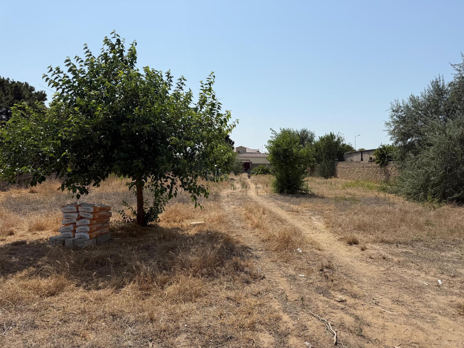 Land for sale, Buzovna, Baku