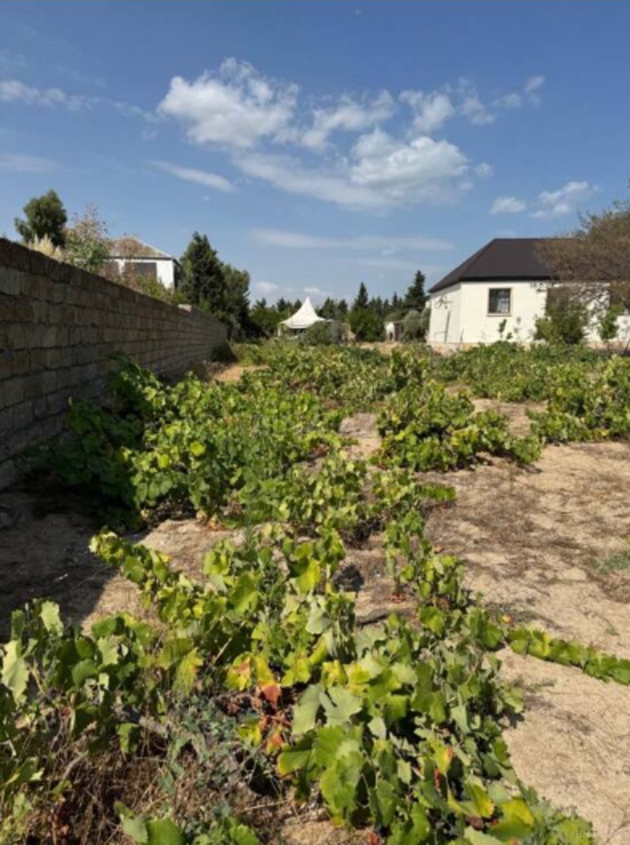 Land for sale, Pirshagi, Baku
