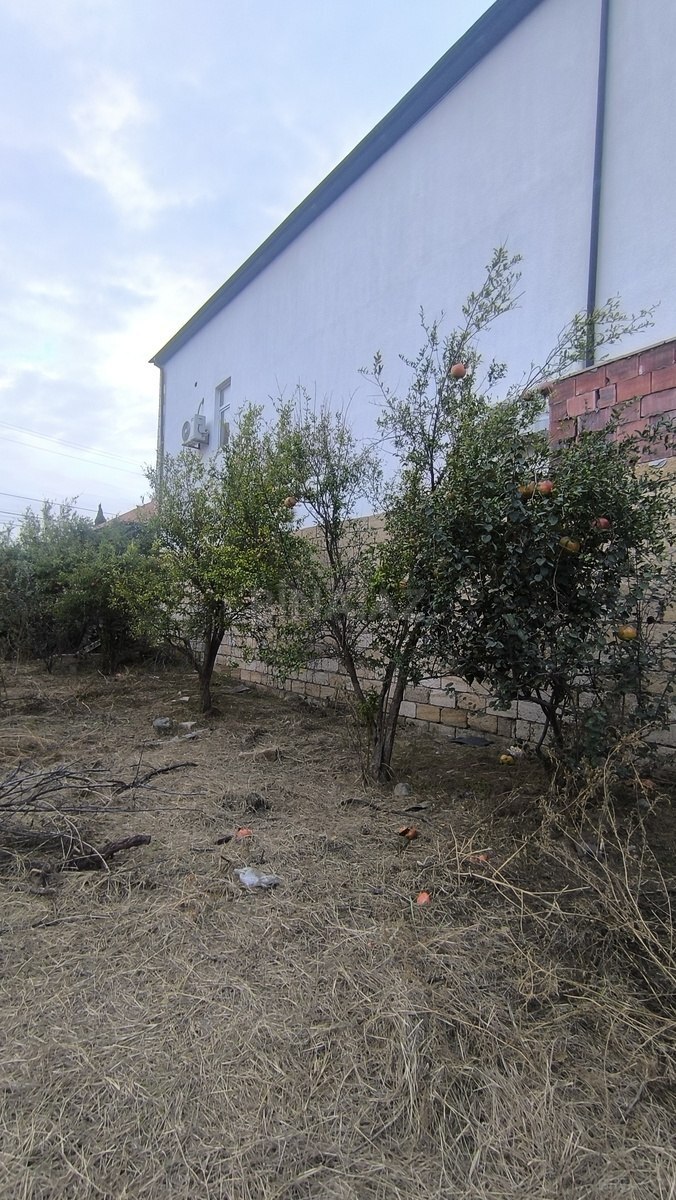 Земельный участок на продажу, Новханы, Апшерон