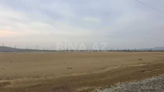 Torpaq Novxanı q., Bakı