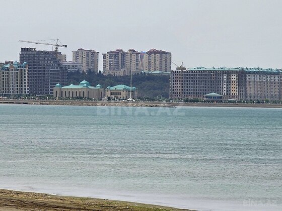 Torpaq Novxanı q., Bakı