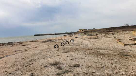 Torpaq Şıxov q., Bakı