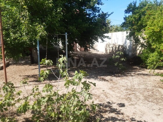 Torpaq Novxanı q., Bakı