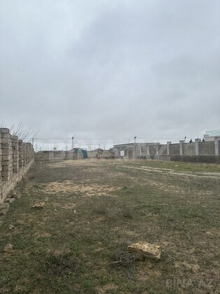 Torpaq Şüvəlan q., Bakı