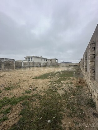 Torpaq Şüvəlan q., Bakı