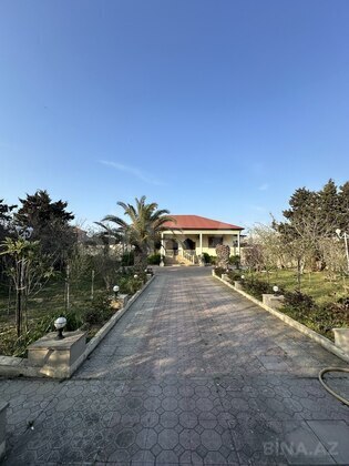 Torpaq Şüvəlan q., Bakı