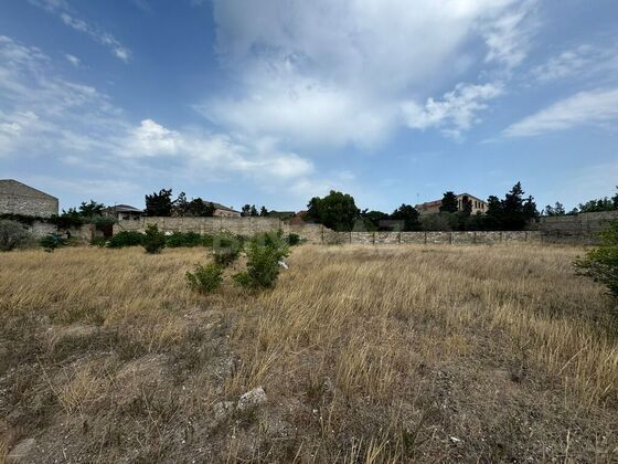Torpaq Şüvəlan q., Bakı