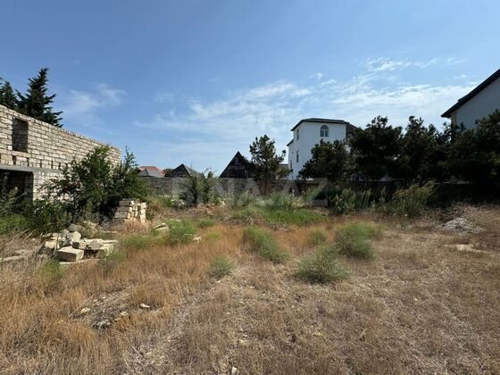Torpaq Şağan q., Bakı