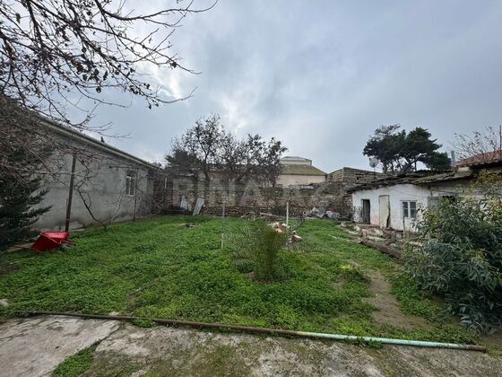 Torpaq Şüvəlan q., Bakı