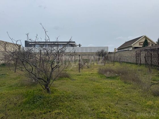 Torpaq Mərdəkan q., Bakı