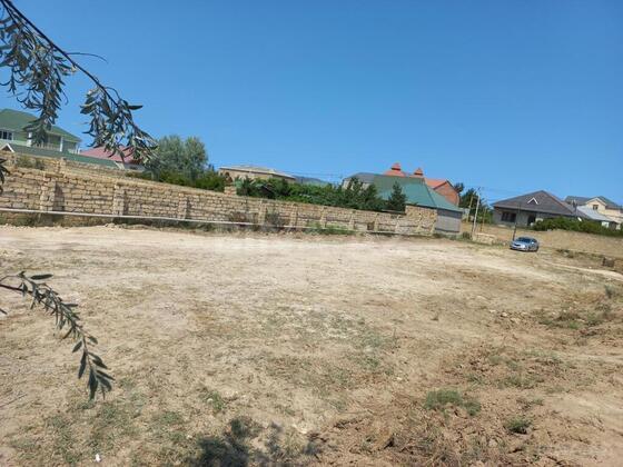 Torpaq Novxanı q., Bakı