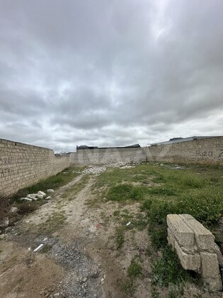 Torpaq Şüvəlan q., Bakı