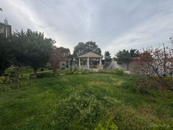 Torpaq Mərdəkan q., Bakı