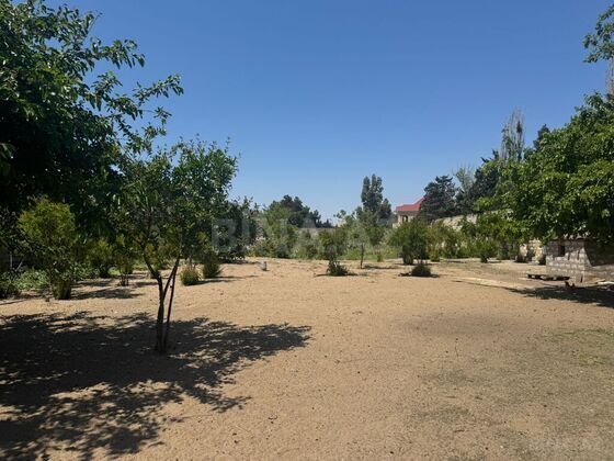 Torpaq Şüvəlan q., Bakı