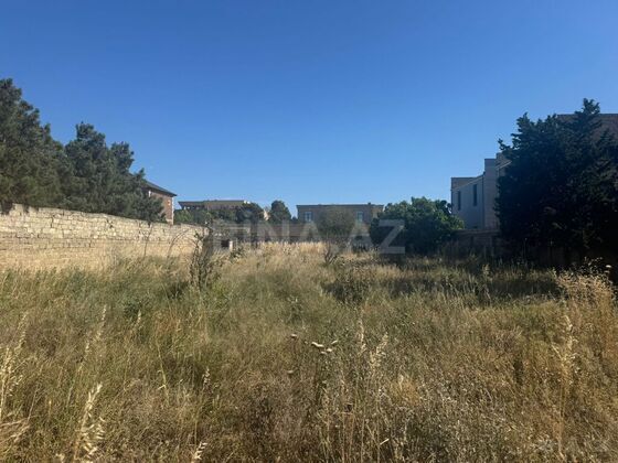 Torpaq Şüvəlan q., Bakı
