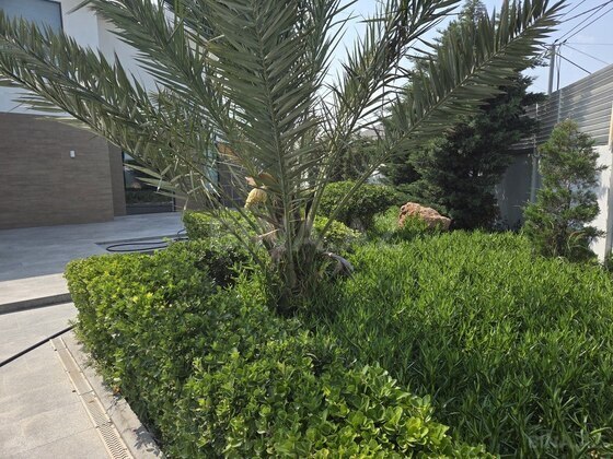 6 otaqlı Həyət evi/Bağ evi, Buzovna q., Bakı