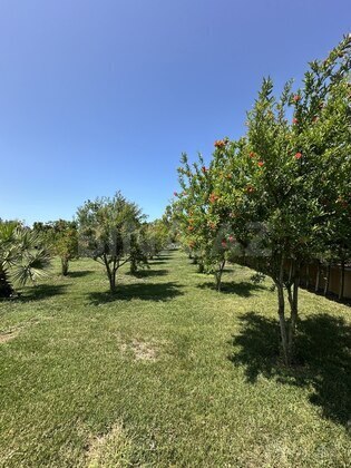 Torpaq Şüvəlan q., Bakı