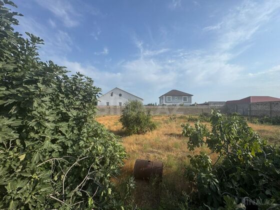 Torpaq Mərdəkan q., Bakı