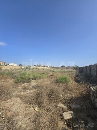 Torpaq Nardaran q., Bakı