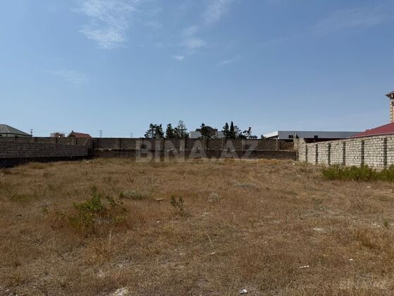Torpaq Şüvəlan q., Bakı