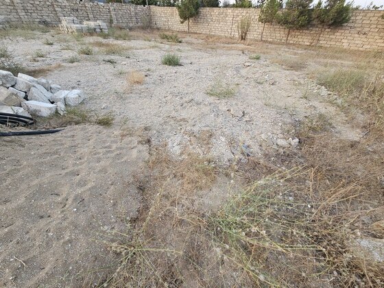 Torpaq Şüvəlan q., Bakı