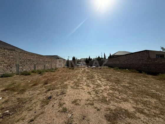 Torpaq Şüvəlan q., Bakı