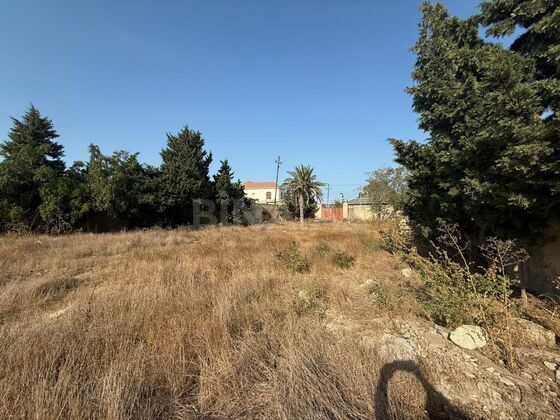 Torpaq Şüvəlan q., Bakı