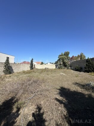 Torpaq Şüvəlan q., Bakı