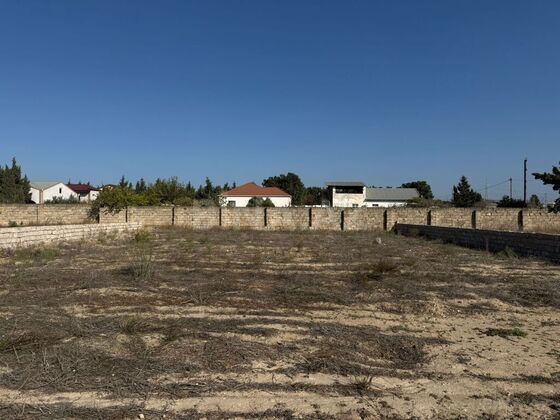 Torpaq Şüvəlan q., Bakı