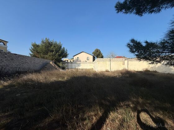 Torpaq Mərdəkan q., Bakı