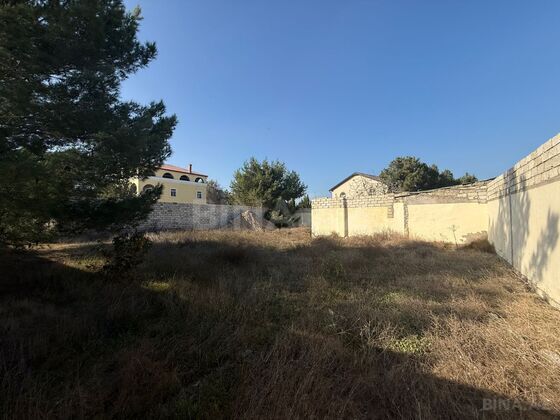Torpaq Mərdəkan q., Bakı