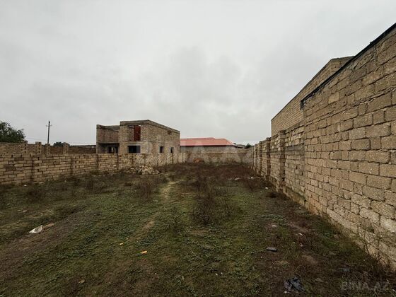 Torpaq Şüvəlan q., Bakı