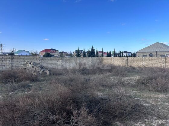 Torpaq Novxanı q., Bakı