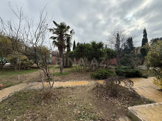 Torpaq Şüvəlan q., Bakı