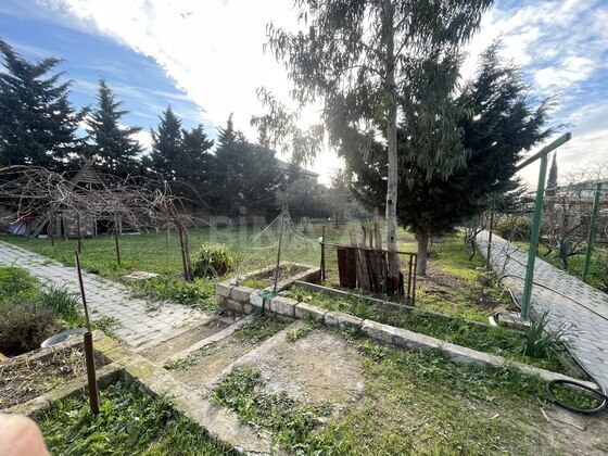 Torpaq Albalılıq q., Bakı