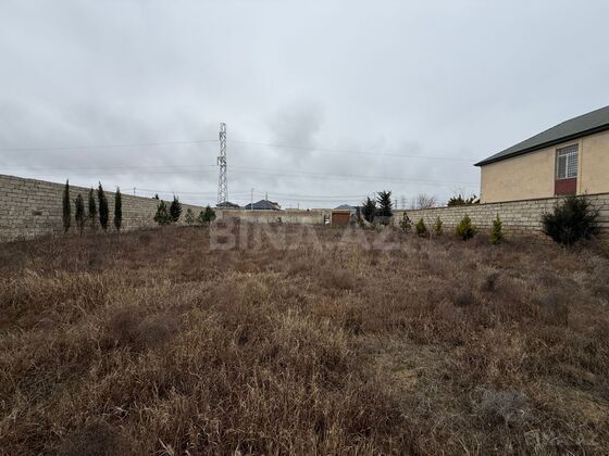 Torpaq Şüvəlan q., Bakı