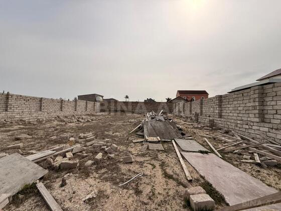 Torpaq Şüvəlan q., Bakı