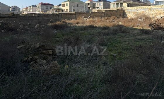 Torpaq Badamdar q., Bakı