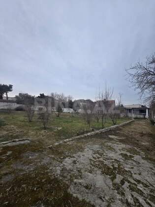 Torpaq Bilgəh q., Bakı