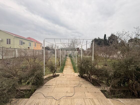 Torpaq Mərdəkan q., Bakı