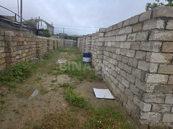 Torpaq Buzovna q., Bakı