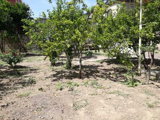 Torpaq Bakıxanov q., Bakı